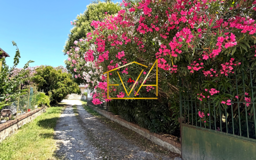 COLLESALVETTI – Privacy assoluta in centro paese